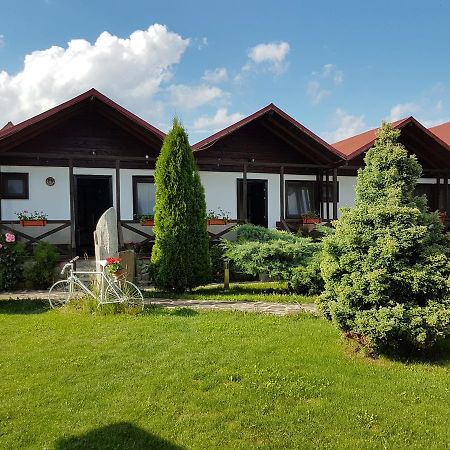 Pensiunea Valea Argesului Albestii Paminteni Luaran gambar