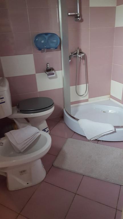 Pensiunea Valea Argesului Albestii Paminteni Luaran gambar