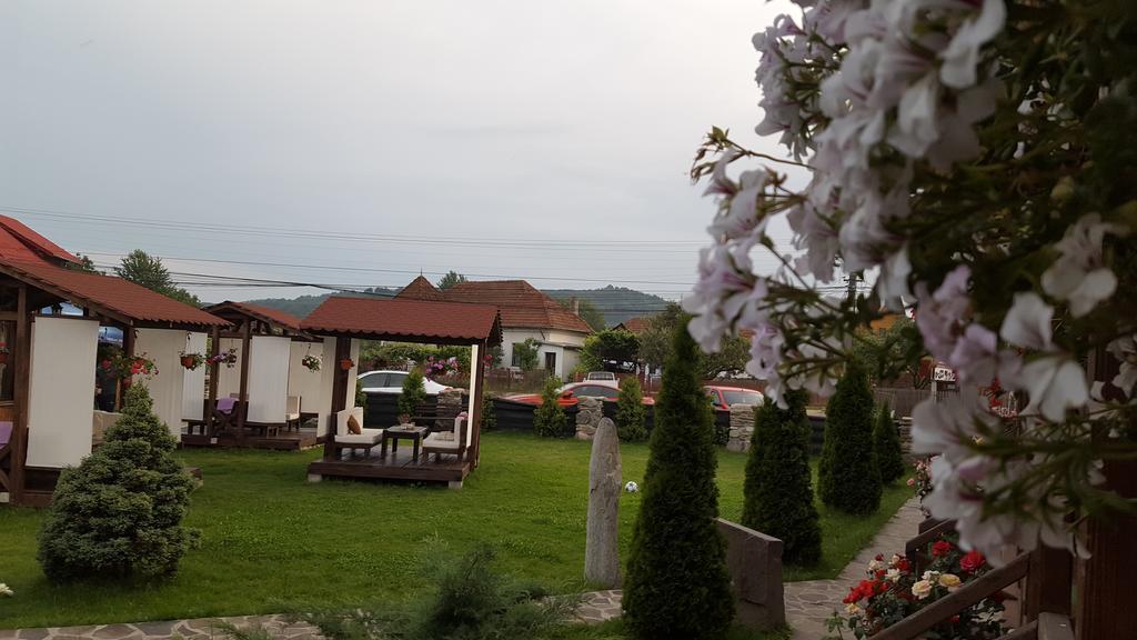 Pensiunea Valea Argesului Albestii Paminteni Luaran gambar