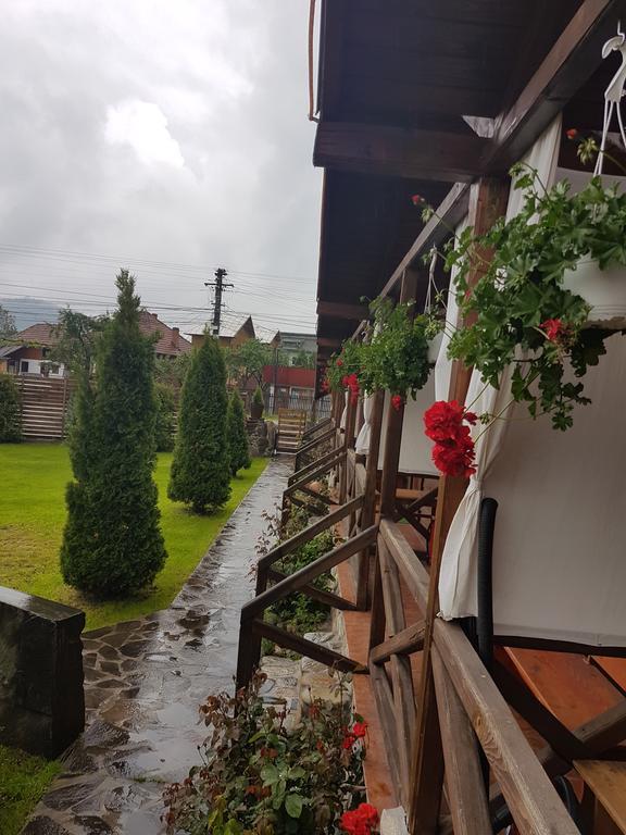 Pensiunea Valea Argesului Albestii Paminteni Luaran gambar