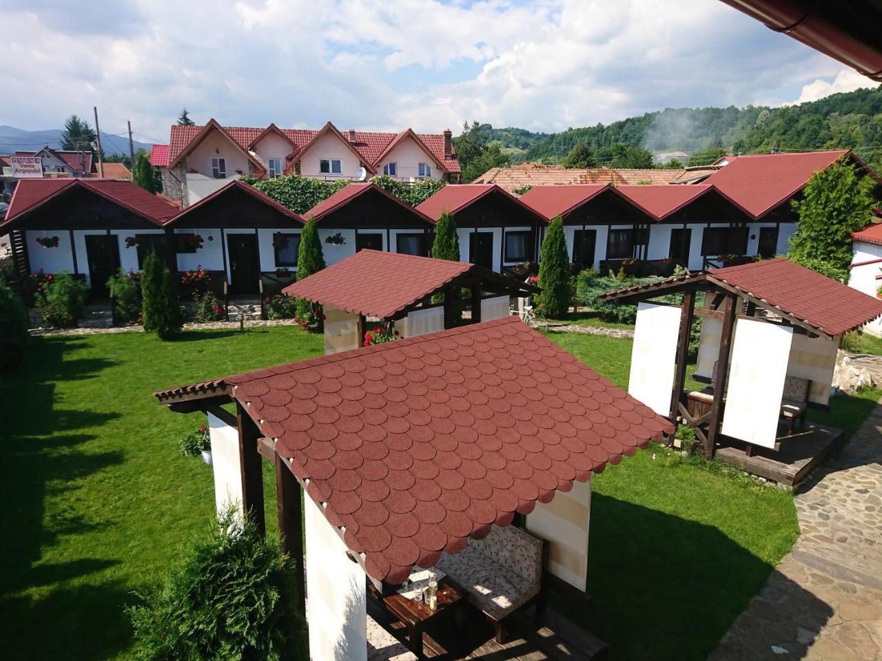 Pensiunea Valea Argesului Albestii Paminteni Luaran gambar