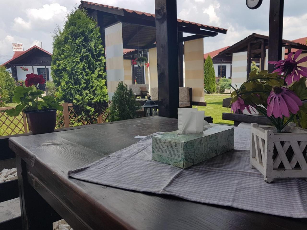 Pensiunea Valea Argesului Albestii Paminteni Luaran gambar